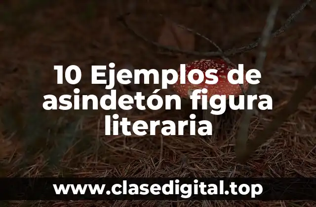 10 Ejemplos de asindetón figura literaria