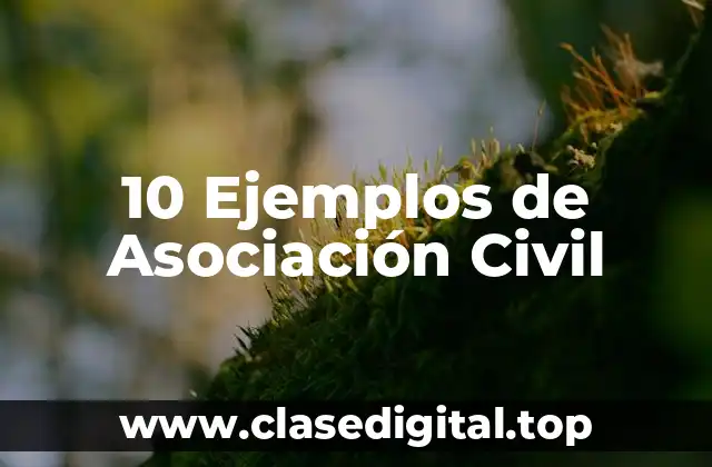 Ejemplos de Asociación Civil