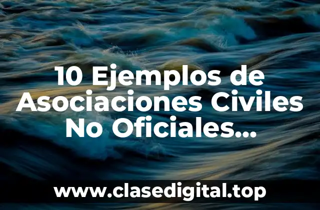 10 Ejemplos de Asociaciones Civiles No Oficiales Argentinas