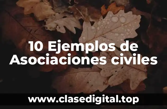 Ejemplos de asociaciones civiles