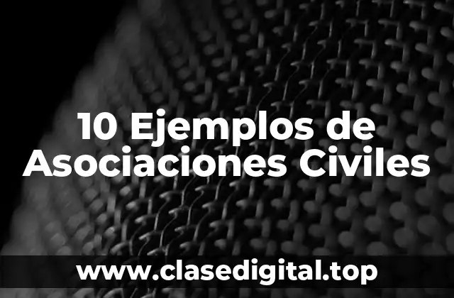 10 Ejemplos de Asociaciones Civiles