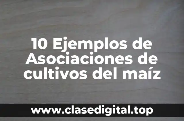 10 Ejemplos de Asociaciones de cultivos del maíz