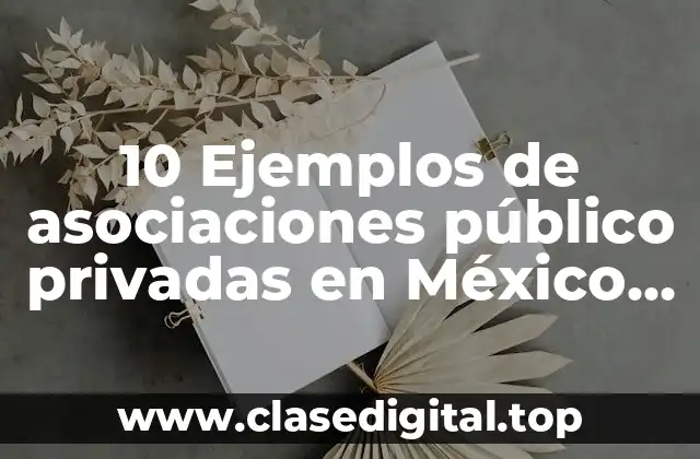 Ejemplos de asociaciones público-privadas en México