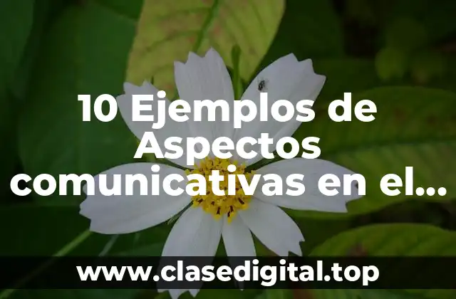 10 Ejemplos de Aspectos comunicativas en el aula