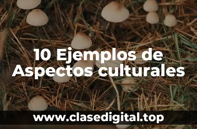 Ejemplos de aspectos culturales