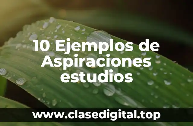 10 Ejemplos de Aspiraciones estudios