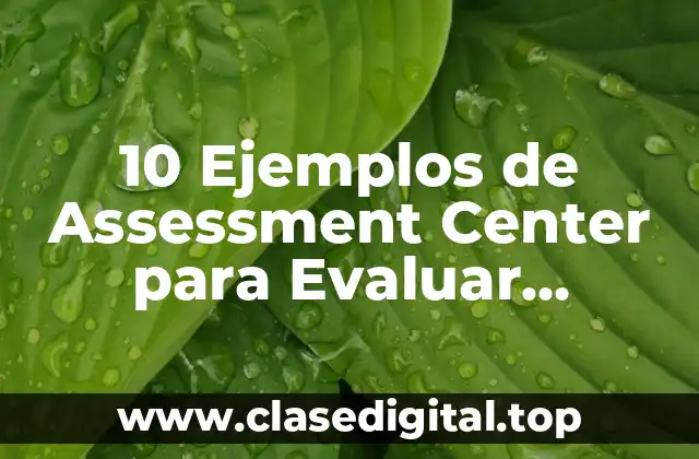 Ejemplos de Assessment Centers