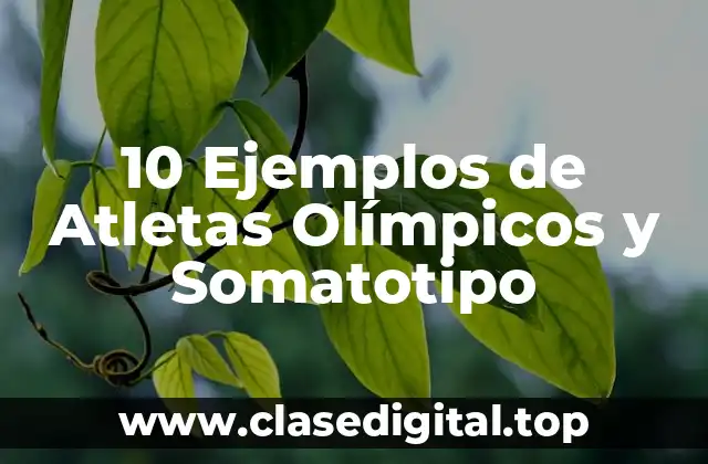 10 Ejemplos de Atletas Olímpicos y Somatotipo
