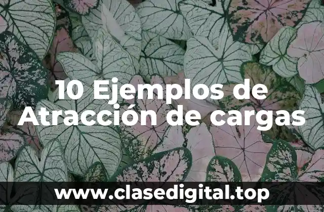 10 Ejemplos de Atracción de cargas