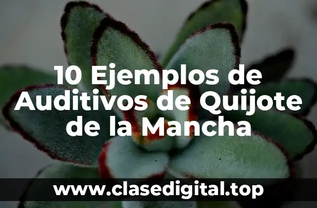 10 Ejemplos de Auditivos de Quijote de la Mancha