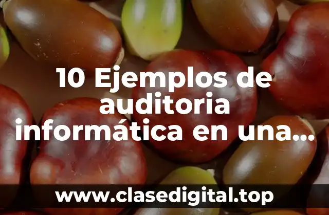 10 Ejemplos de auditoria informática en una empresa