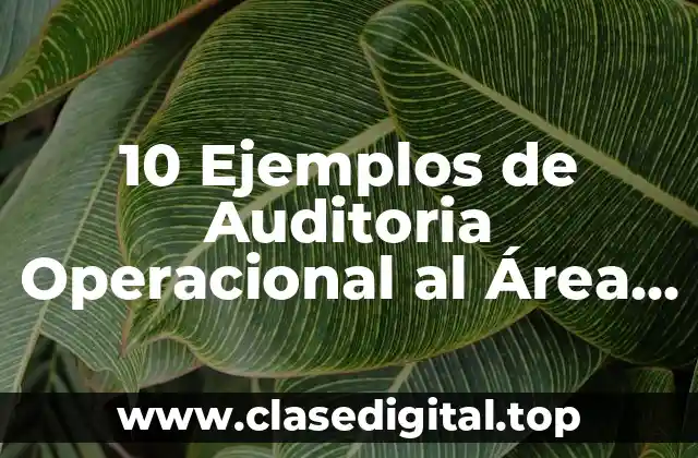 10 Ejemplos de Auditoria Operacional al Área de Compras