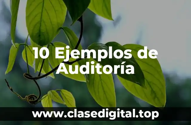 10 Ejemplos de Auditoría