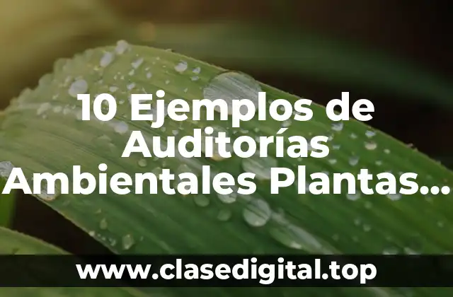 10 Ejemplos de Auditorías Ambientales Plantas Tratadoras
