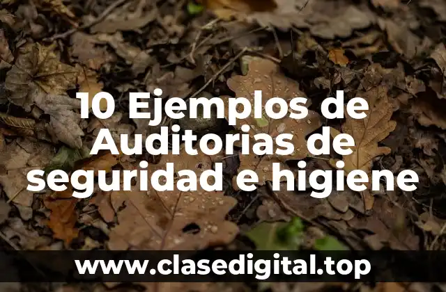 10 Ejemplos de Auditorias de seguridad e higiene