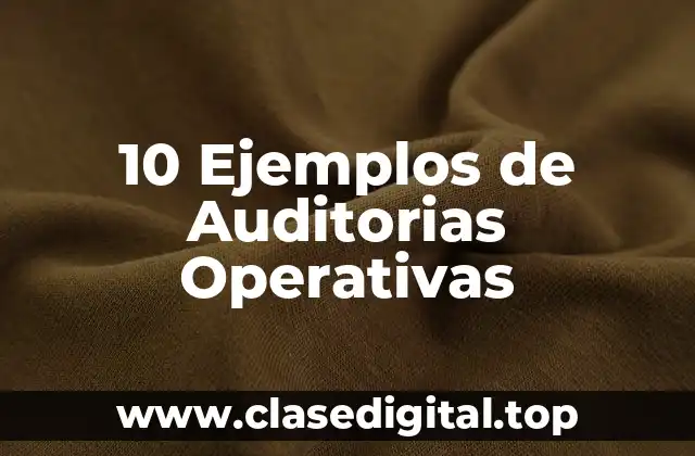 10 Ejemplos de Auditorias Operativas