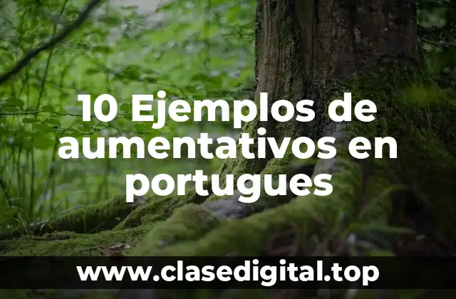 10 Ejemplos de aumentativos en portugues