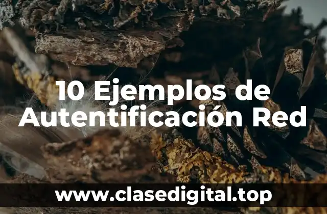 10 Ejemplos de Autentificación Red