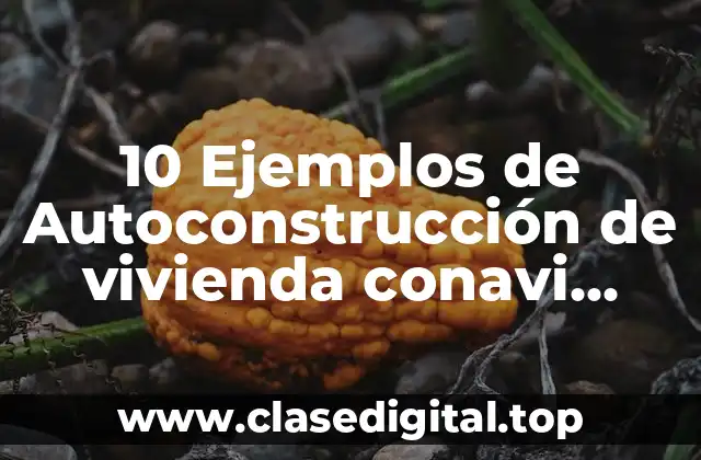 10 Ejemplos de Autoconstrucción de vivienda conavi (ACV)