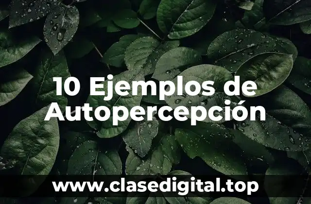 10 Ejemplos de Autopercepción