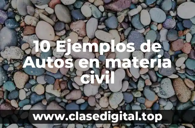 10 Ejemplos de Autos en materia civil