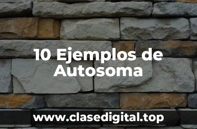 10 Ejemplos de Autosoma