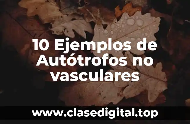 10 Ejemplos de Autótrofos no vasculares