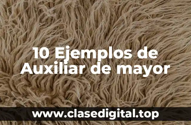 10 Ejemplos de Auxiliar de mayor