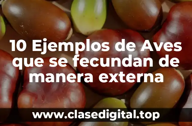 10 Ejemplos de Aves que se fecundan de manera externa