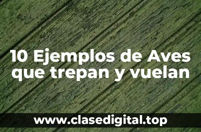 10 Ejemplos de Aves que trepan y vuelan