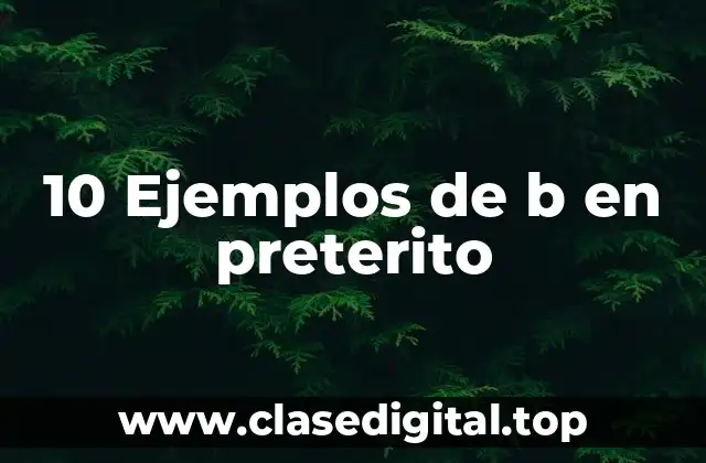 10 Ejemplos de b en preterito