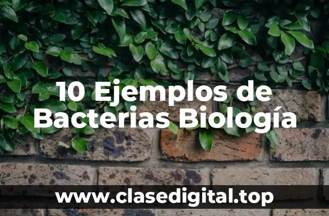 Ejemplos de bacterias
