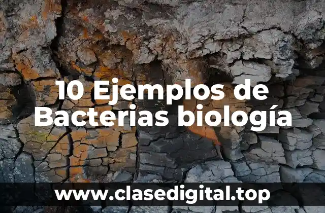 10 Ejemplos de Bacterias biología