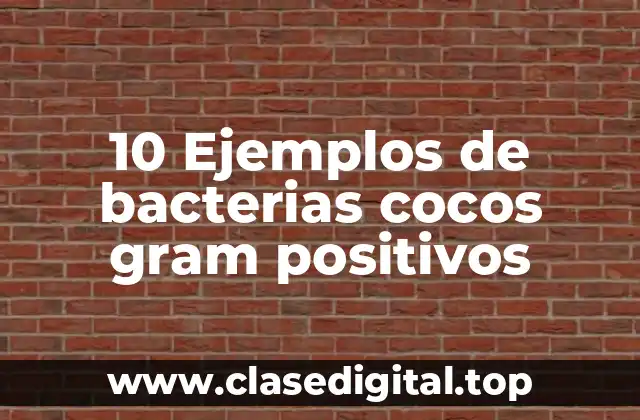 10 Ejemplos de bacterias cocos gram positivos