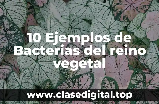 10 Ejemplos de Bacterias del reino vegetal