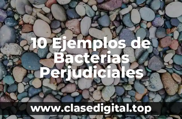 10 Ejemplos de Bacterias Perjudiciales