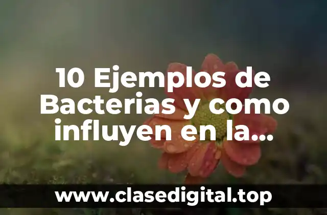 10 Ejemplos de Bacterias y como influyen en la biotecnología