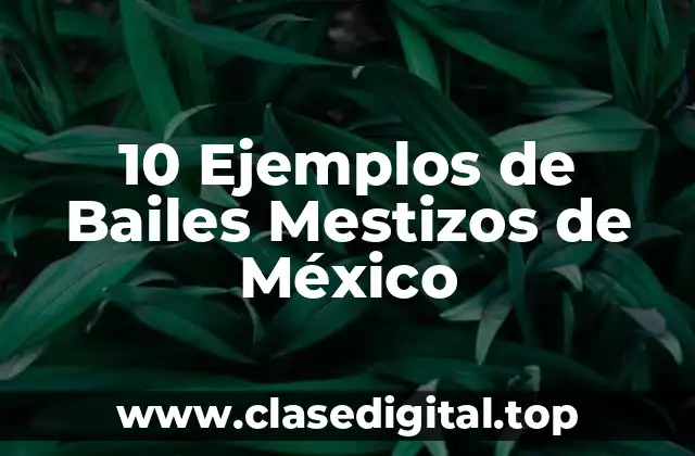 10 Ejemplos de Bailes Mestizos de México