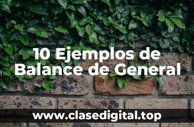 10 Ejemplos de Balance de General