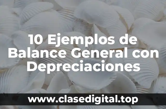 10 Ejemplos de Balance General con Depreciaciones