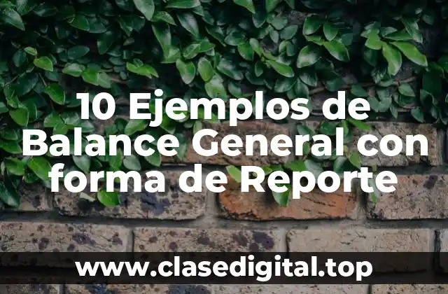 10 Ejemplos de Balance General con forma de Reporte