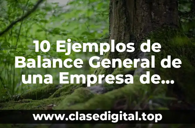 10 Ejemplos de Balance General de una Empresa de Producción