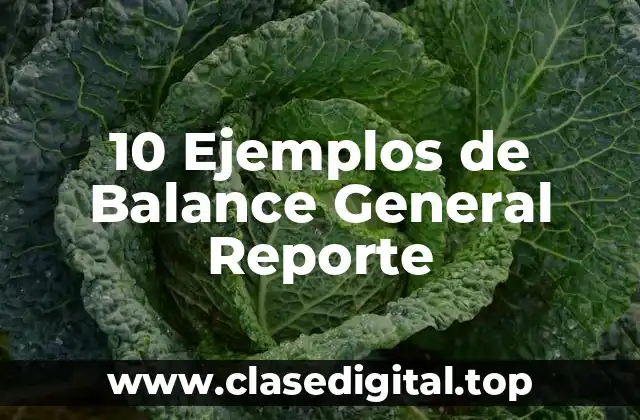 10 Ejemplos de Balance General Reporte