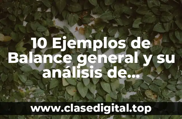 10 Ejemplos de Balance general y su análisis de resultados