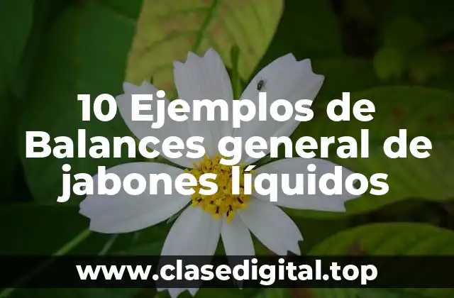 10 Ejemplos de Balances general de jabones líquidos