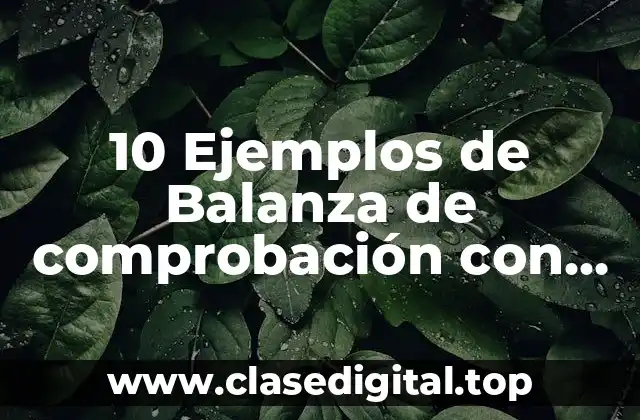 10 Ejemplos de Balanza de comprobación con cuentas