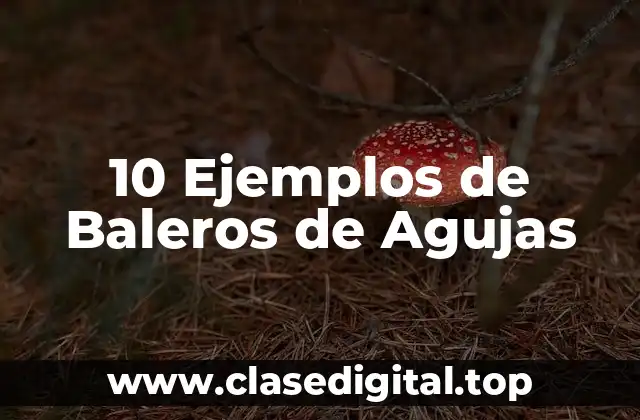 10 Ejemplos de Baleros de Agujas