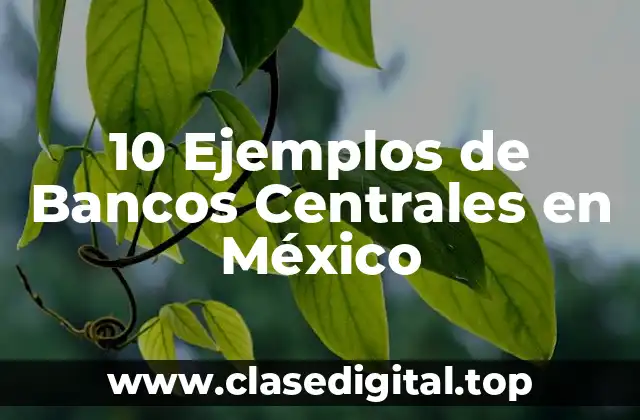 10 Ejemplos de Bancos Centrales en México