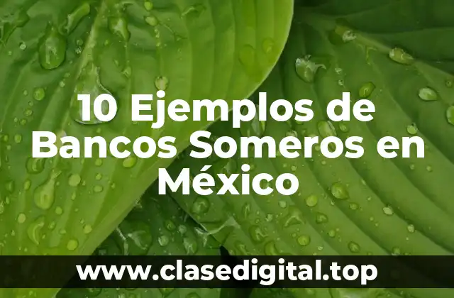 10 Ejemplos de Bancos Someros en México