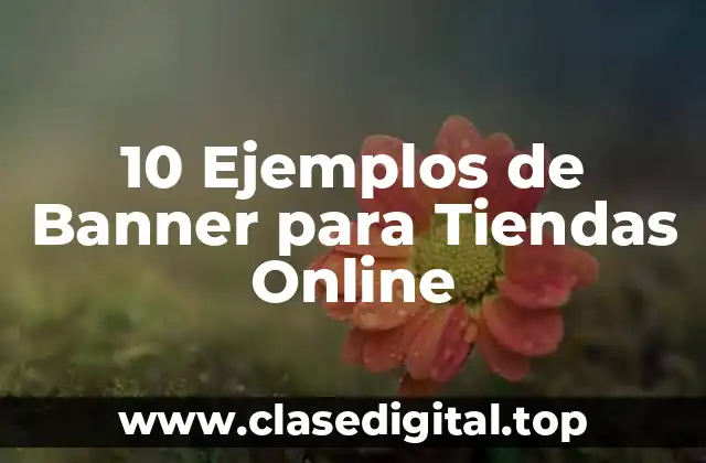 10 Ejemplos de Banner para Tiendas Online
